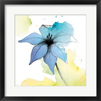 Framed 'Watercolor Graphite Flower V' border=