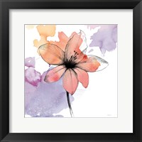 Framed Watercolor Graphite Flower II