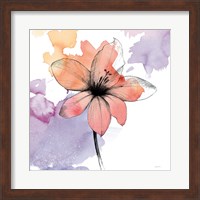Framed Watercolor Graphite Flower II