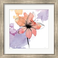 Framed 'Watercolor Graphite Flower II' border=