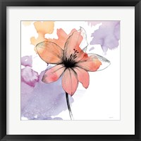 Watercolor Graphite Flower II Framed Print