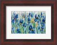 Framed Iris Flower Bed