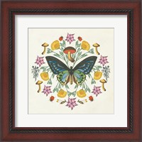 Framed 'Butterfly Mandala IV' border=