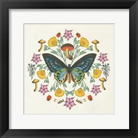 Framed 'Butterfly Mandala IV' border=