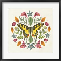 Framed Butterfly Mandala III