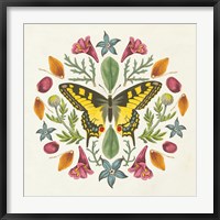 Framed Butterfly Mandala III
