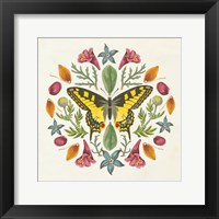 Framed 'Butterfly Mandala III' border=