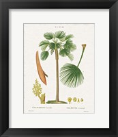 Framed Island Botanicals I