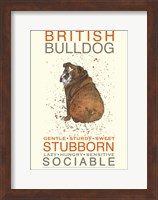 Framed British Bulldog