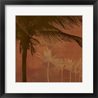 Framed 'Caribbean Sun I' border=