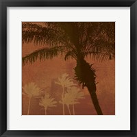 Framed 'Caribbean Sun II' border=