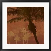 Framed Caribbean Sun II