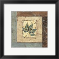 Framed 'Botanica IV' border=