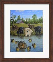 Framed Puppies And Ducklings