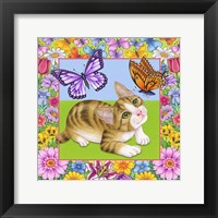 Framed Butterfly Kitten