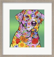 Framed Flowers Yellow Lab