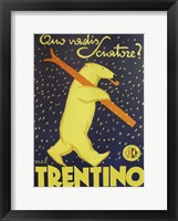 Framed Trentino