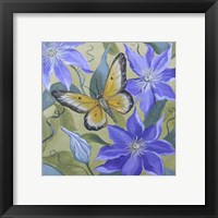 Framed 'Large Butterfly and Clematis' border=