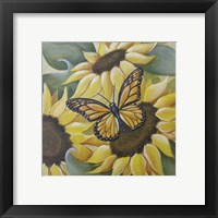 Framed 'Large Butterfly and Sunflower' border=
