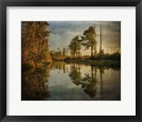 Framed Swamp Land 1