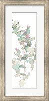 Framed Eucalyptus II White Crop