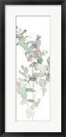 Eucalyptus II White Crop Framed Print