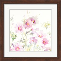 Framed Queen Annes Lace and Cosmos on White II