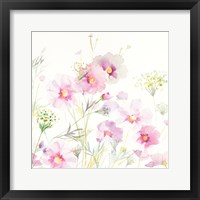 Framed Queen Annes Lace and Cosmos on White II