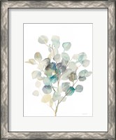 Framed Eucalyptus III White