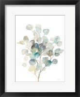 Eucalyptus III White Framed Print