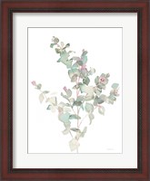 Framed Eucalyptus II White