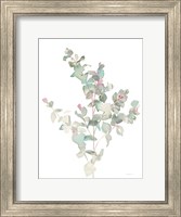 Framed Eucalyptus II White