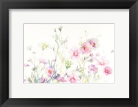 Framed Queen Annes Lace and Cosmos on White