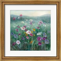 Framed Cosmos at Dawn