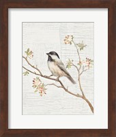 Framed Black Capped Chickadee Vintage v2