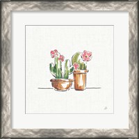 Framed Desert Bloom VI