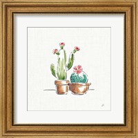 Framed Desert Bloom IV