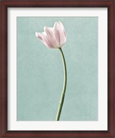 Framed Light Tulips I Harbor Gray