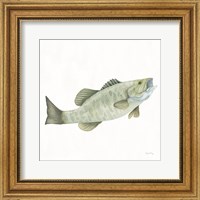 Framed 'Gone Fishin Small Mouth' border=