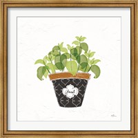 Framed Fine Herbs VIII