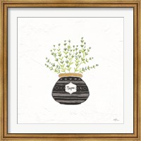 Framed Fine Herbs VI