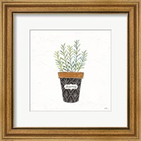 Framed 'Fine Herbs IX' border=