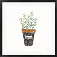 Framed Fine Herbs IX