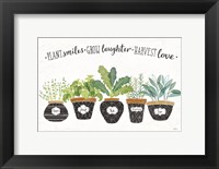 Framed Fine Herbs I