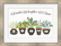 Framed Fine Herbs I