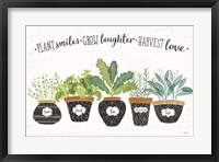 Framed Fine Herbs I