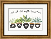 Framed Fine Herbs I