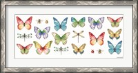 Framed Colorful Breeze Bright Butterflies and Bugs