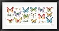 Framed Colorful Breeze Bright Butterflies and Bugs