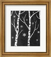 Framed Snowy Birches II